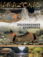Amazonas Nr. 95 – Dauerbrenner Corydoras (digital)